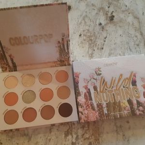 Colourpop eyeshadow palette